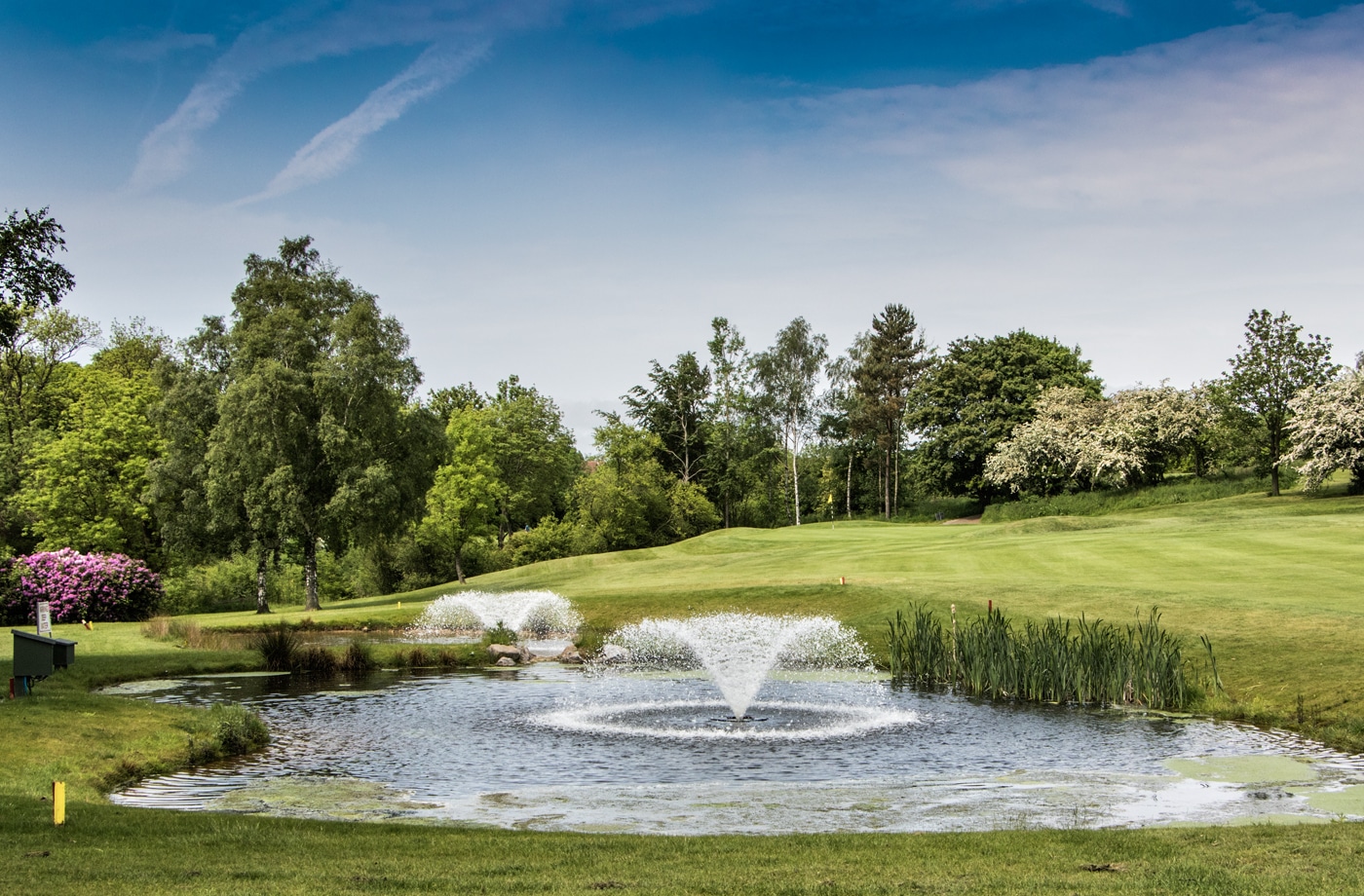 Middlesbrough Golf Club 11th Hole