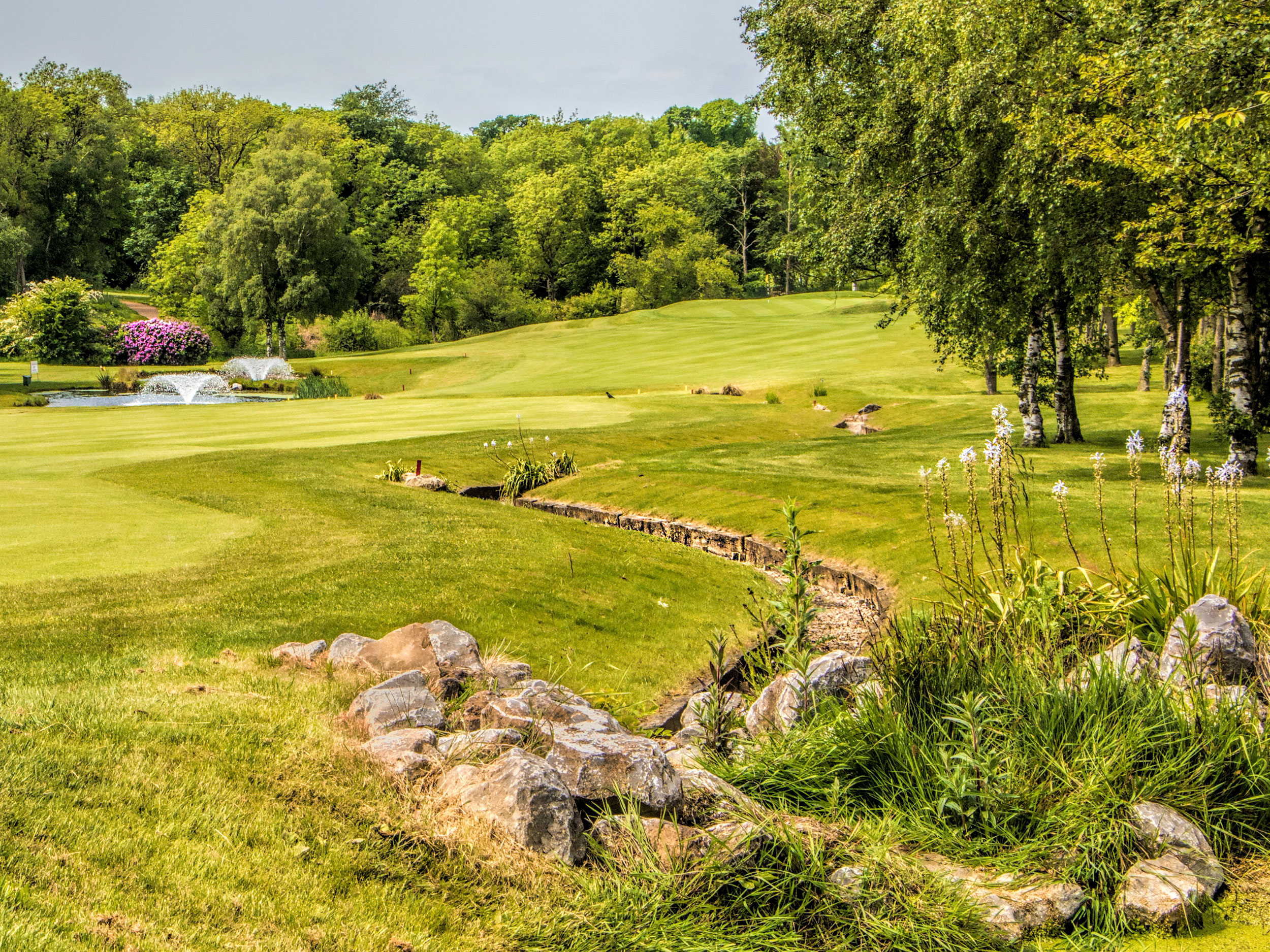 Middlesbrough Golf Club 11th